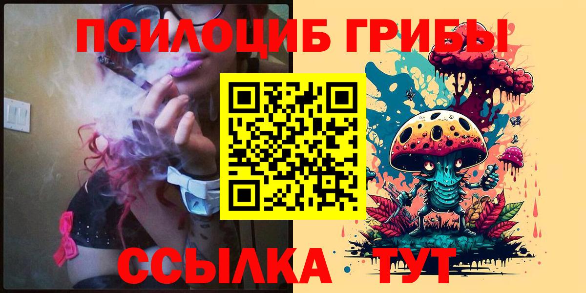 Галлюциногенные грибы Psilocybine cubensis  Псилоцибиновые грибы Cubensis  Жуковский  Вход с VPN 